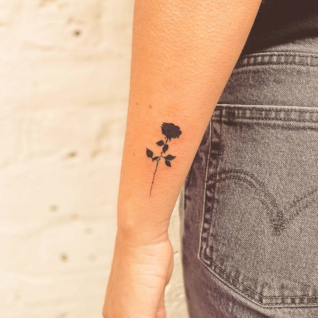 Vorschaubild 1